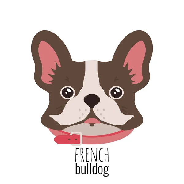 Cara de buldogue francesa. Frenchie marrom bonito com orelhas de coelho. Vetor —  Vetores de Stock