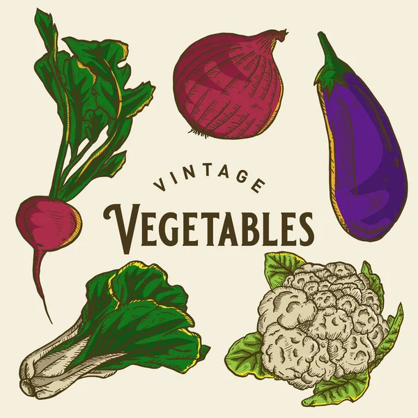 Vintage Gemüse Illustration Design — Stockvektor