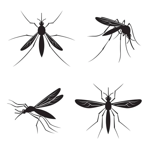 スティンガーと つの蚊の白黒コレクション — ストックベクタ