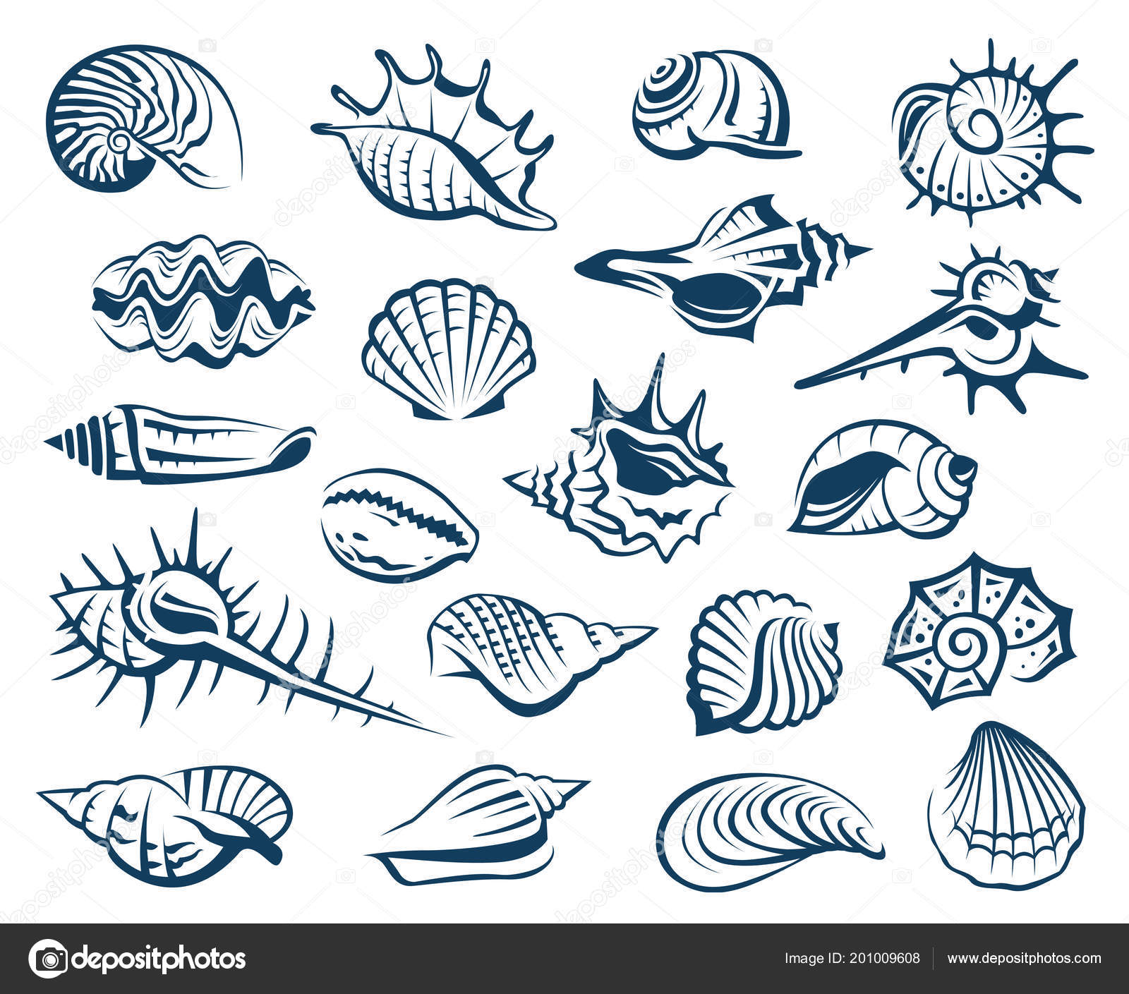 Monochrome Collection Various Seashells Stock Vector Image by ©alexkava