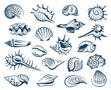 çeşitli deniz kabuklarını tek renkli koleksiyonu 