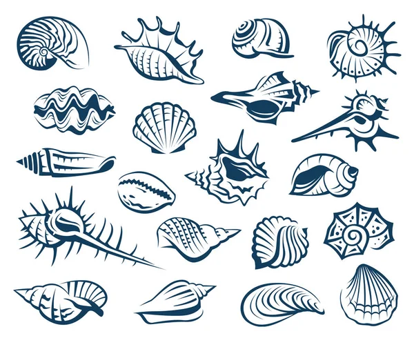 çeşitli deniz kabuklarını tek renkli koleksiyonu 