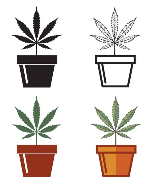 Recogida Marihuana Hoja Cannabis Maceta Aislada Sobre Fondo Blanco — Archivo Imágenes Vectoriales