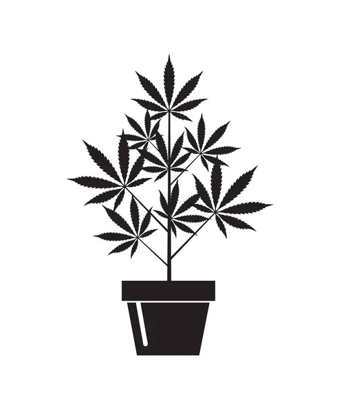 Ilustración Marihuana Planta Cannabis Maceta Aislada Sobre Fondo Blanco — Archivo Imágenes Vectoriales