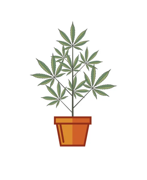 Illustration Von Marihuana Oder Cannabispflanze Blumentopf Isoliert Auf Weißem Hintergrund — Stockvektor