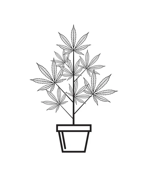 Ilustración Marihuana Planta Cannabis Maceta Aislada Sobre Fondo Blanco — Archivo Imágenes Vectoriales