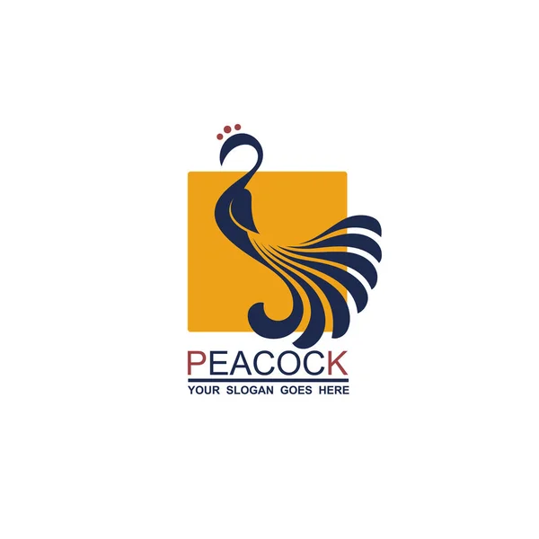 Peacock Bird Icon Isolated White Background — Stock Vector