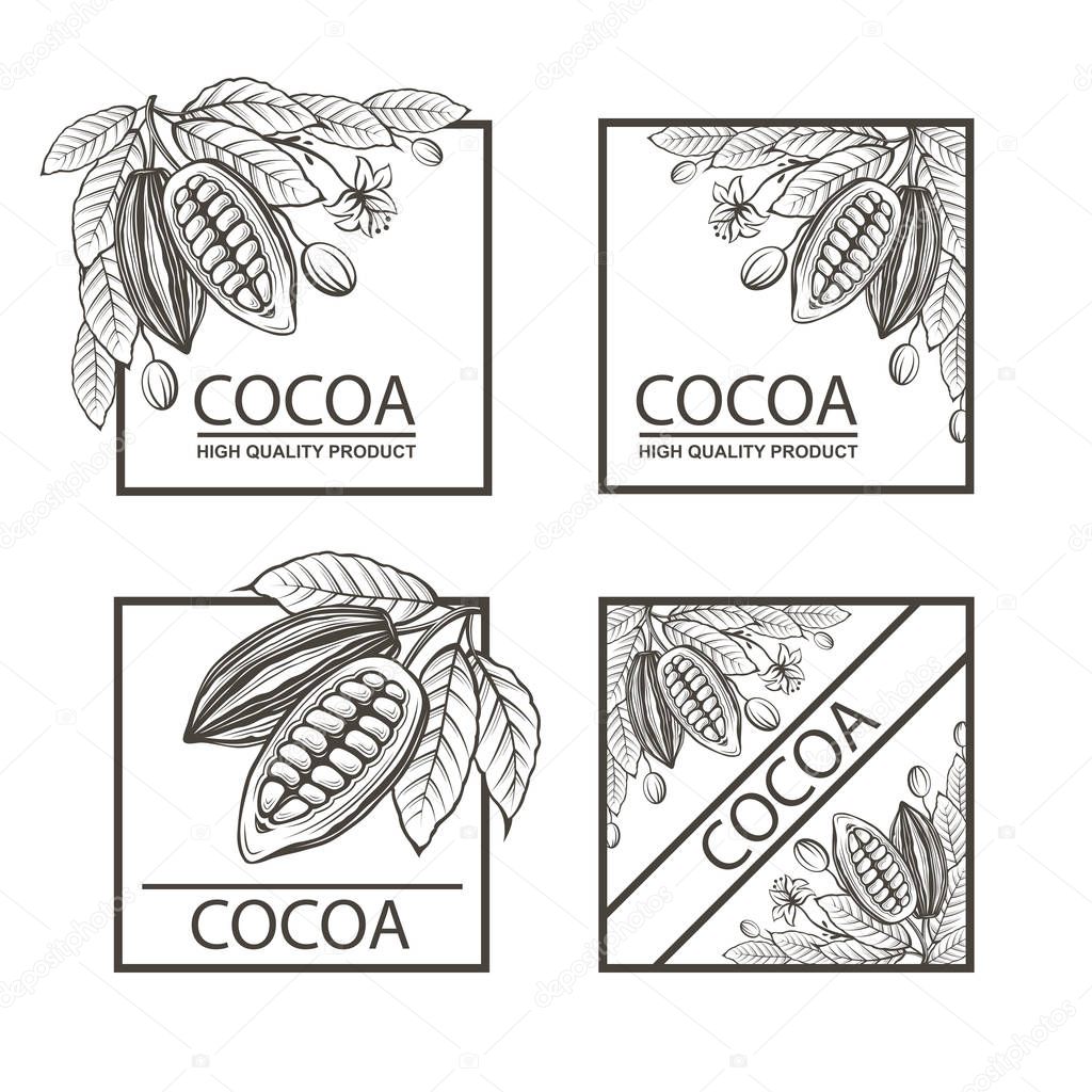 Collection of frames with cocoa beans, branch and leaves