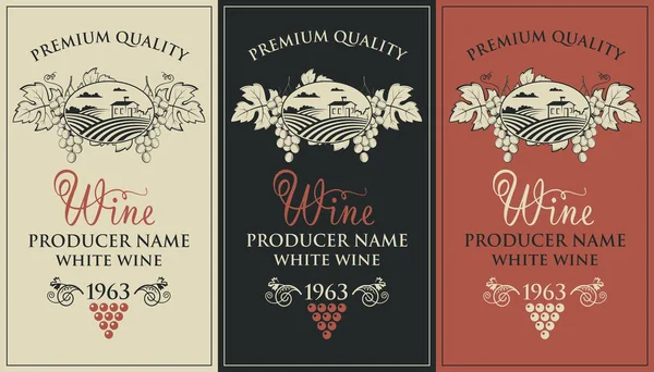 Collectie Vintage Etiketten Voor Wijnflessen Met Druiven — Stockvector