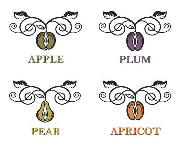 Collection Différents Emblèmes Fruits Pomme Prune Poire Abricot — Image vectorielle