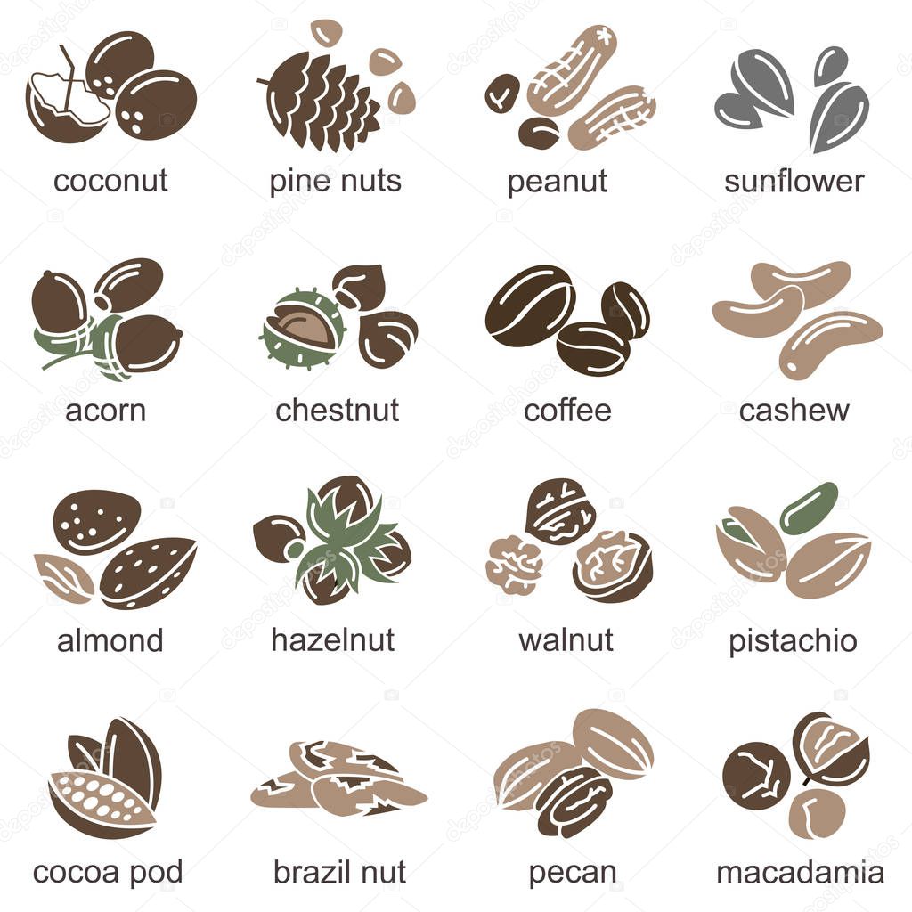 Collection of nuts and seeds icons