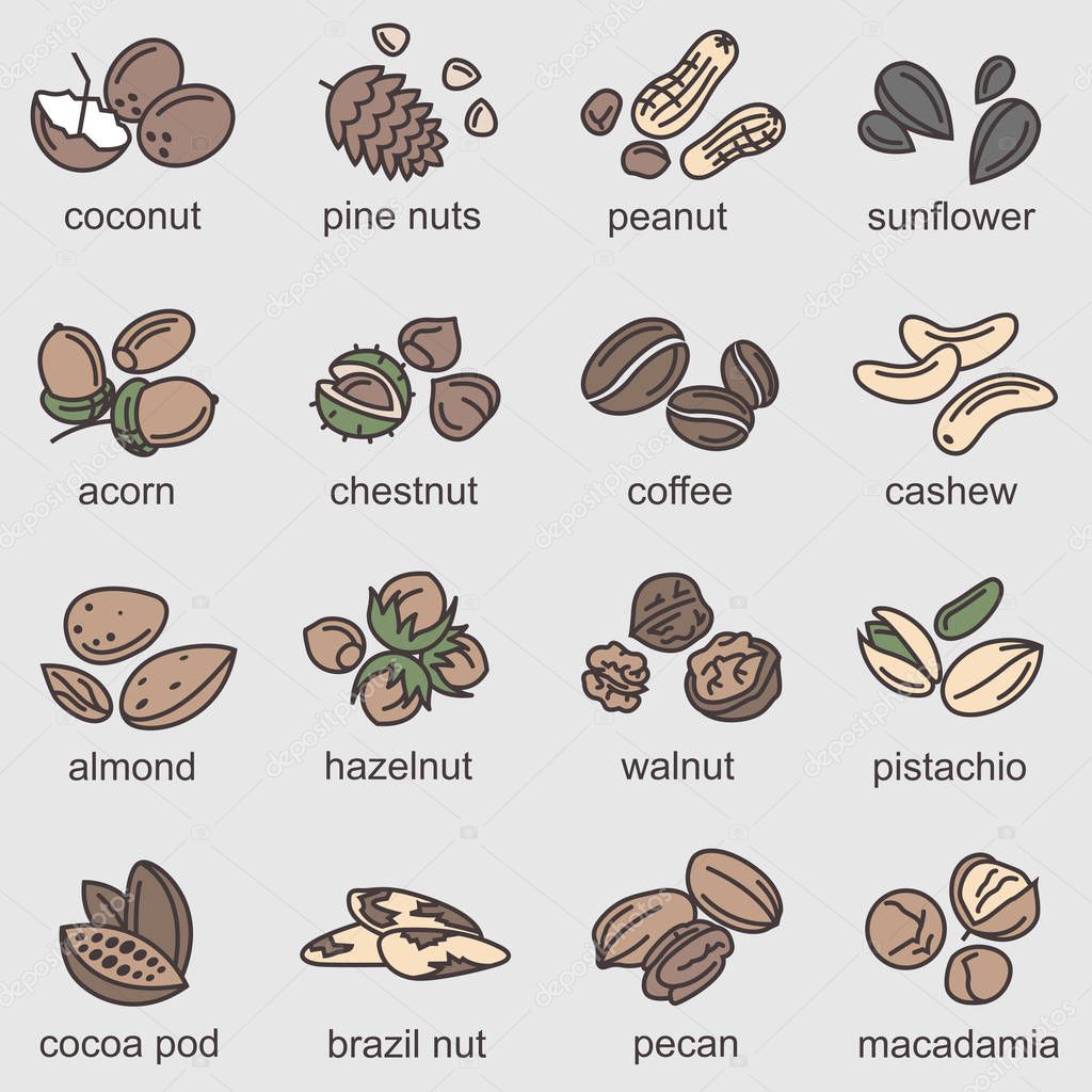 Collection of nuts and seeds icons
