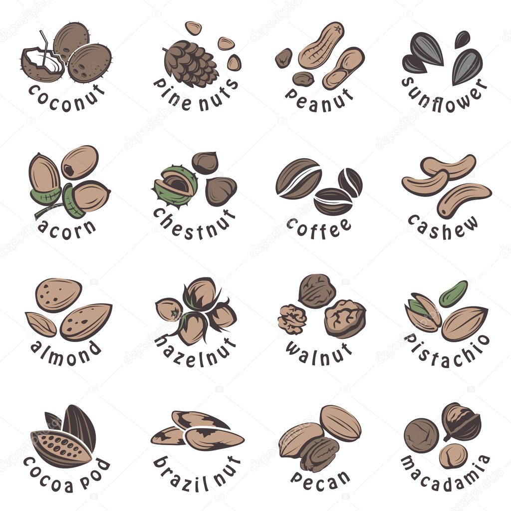 Collection of nuts and seeds icons