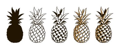 ananas tropikal meyveler beyaz arka planda izole koleksiyonu