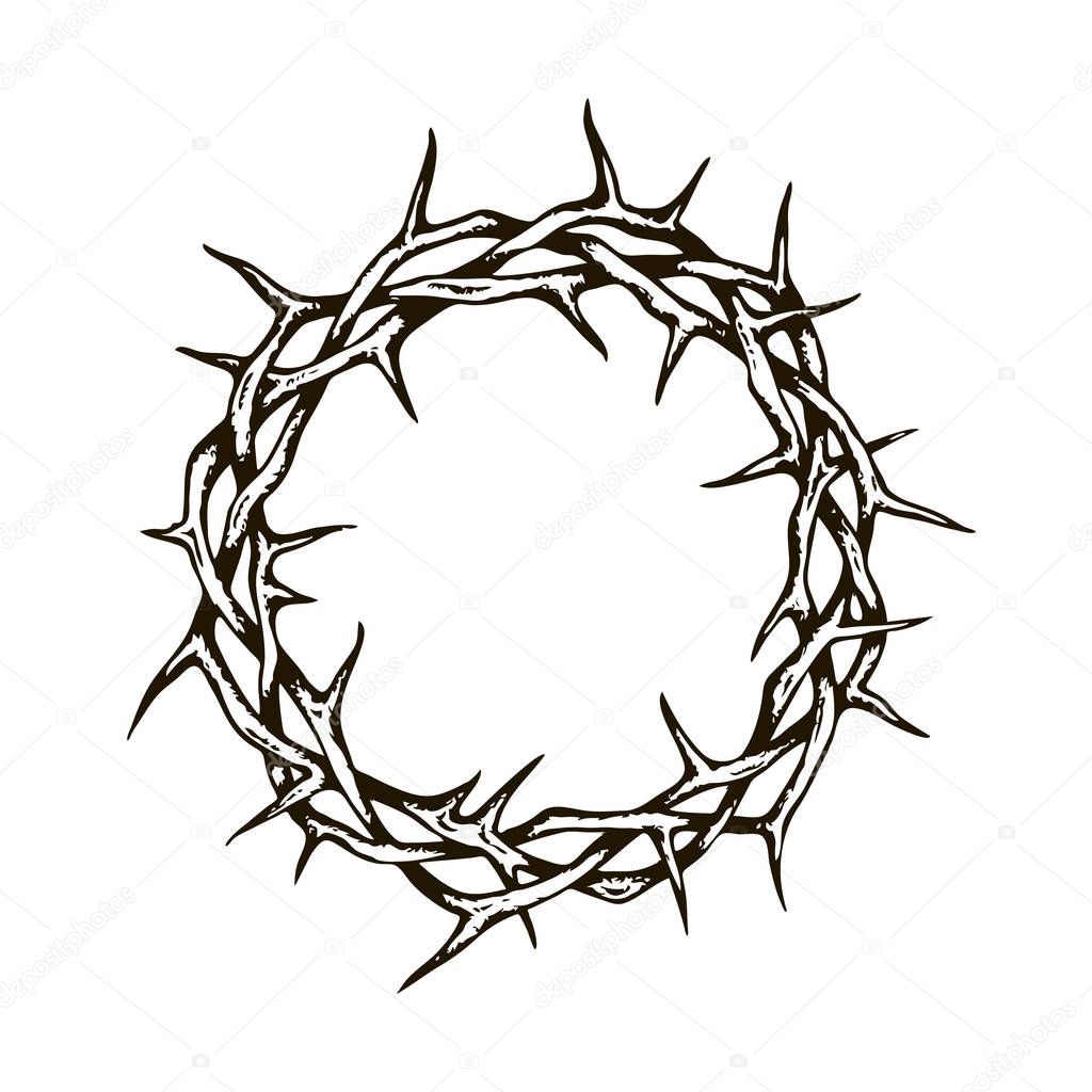 black crown of thorns image isolated on white background 