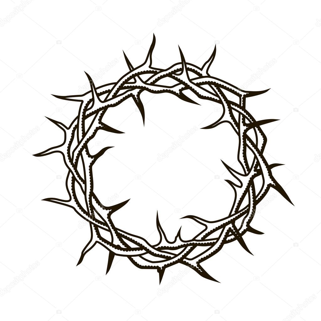 black crown of thorns image isolated on white background 