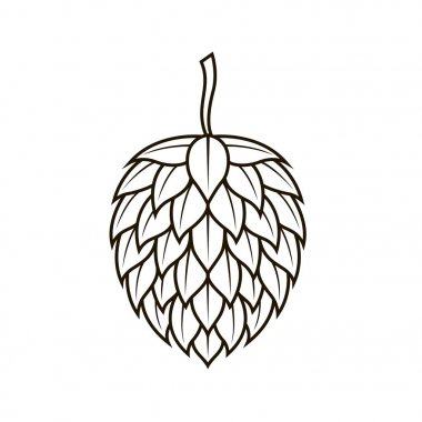 beyaz arka plan üzerinde izole bira için hop koni simgesi