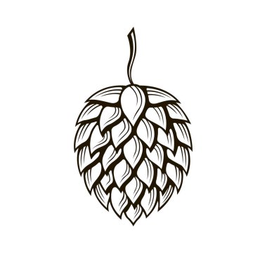 beyaz arka plan üzerinde izole bira için hop koni simgesi