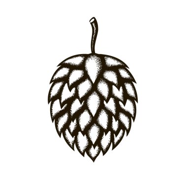 beyaz arka plan üzerinde izole bira için hop koni simgesi