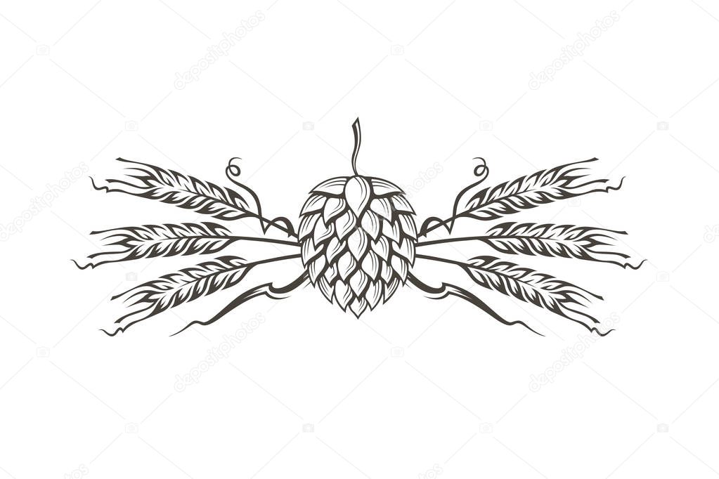 black illustration of hop and barley for brewing isolated on white background