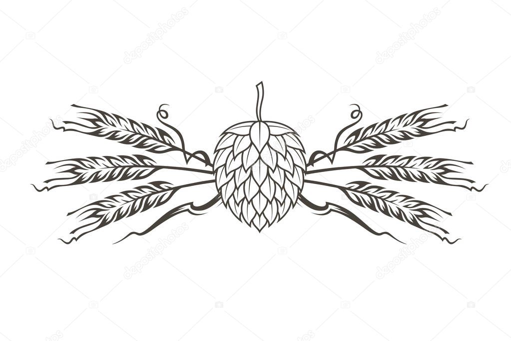 black illustration of hop and barley for brewing isolated on white background