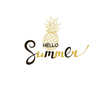 beyaz arka plan üzerinde izole ananas ile merhaba yaz yazı amblemi