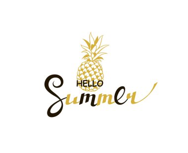 beyaz arka plan üzerinde izole ananas ile merhaba yaz yazı amblemi