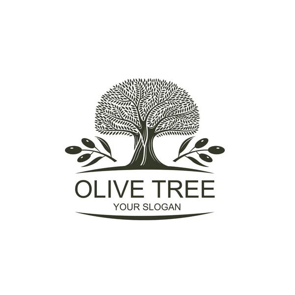 Étiquette Pour Huile Olive Extra Vierge Avec Olivier Décoratif — Image vectorielle