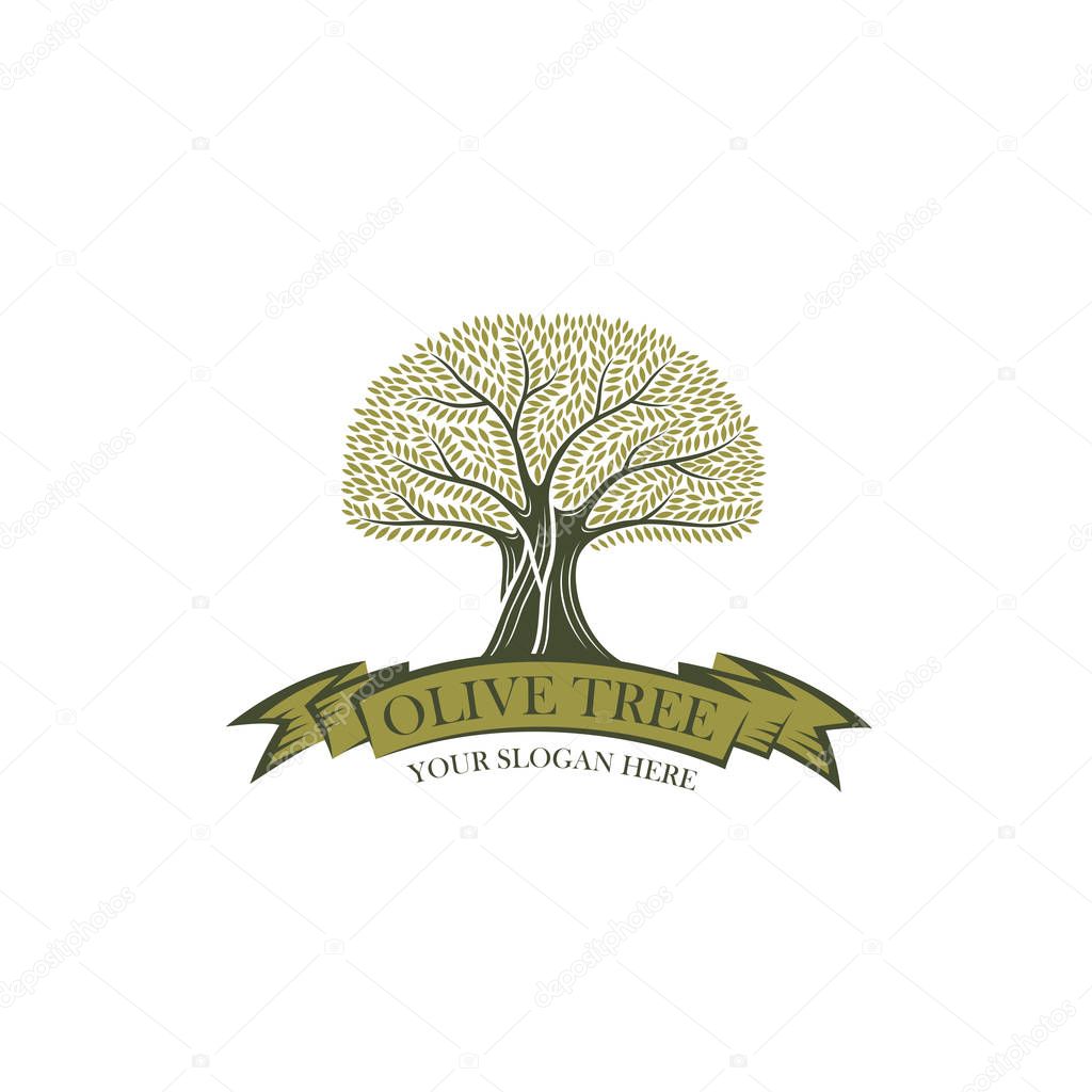 Label for extra virgin olive oil with decorative olive tree