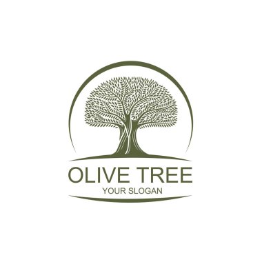 dekoratif zeytin ağacı ile sızma zeytinyağı için etiket