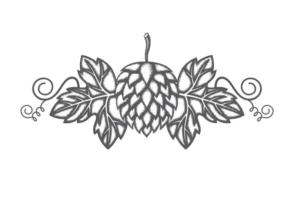 啤酒花和大麦的插图酿造隔离在白色背景 — 图库矢量图片