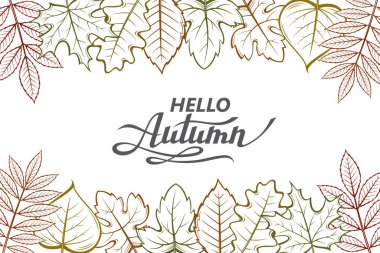 beyaz arka plan üzerinde izole odunsu yaprakları ile merhaba sonbahar yazı deseni