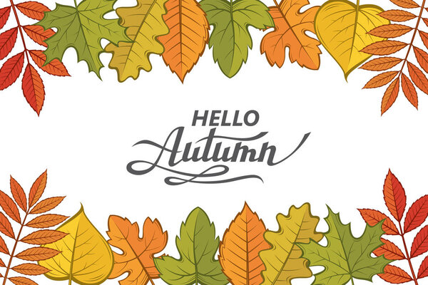 hello autumn lettering pattern with woody leaves isolated on white background