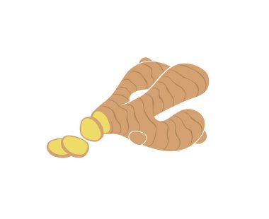 beyaz arka plan üzerinde izole zencefil kökü bitki illüstrasyon