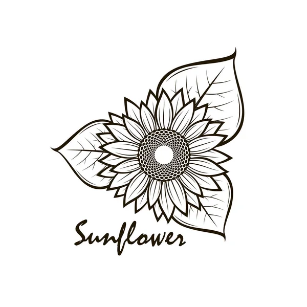 illustration with flower of sunflower isolated on white background