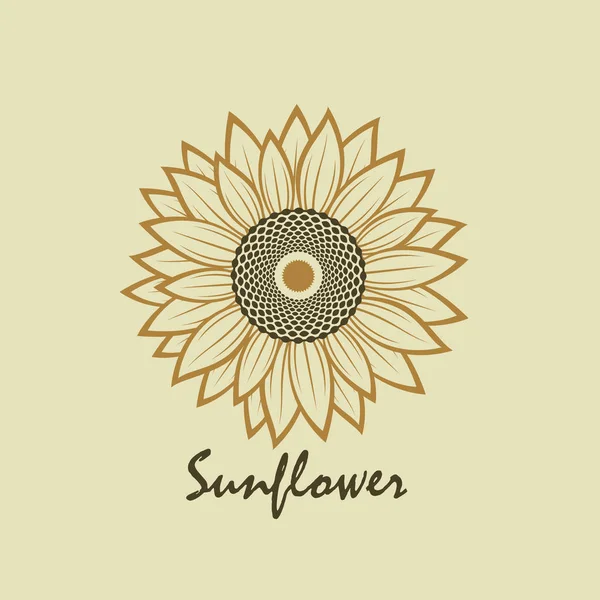 Illustration Flower Sunflower Isolated Beige Background — Stock Vector