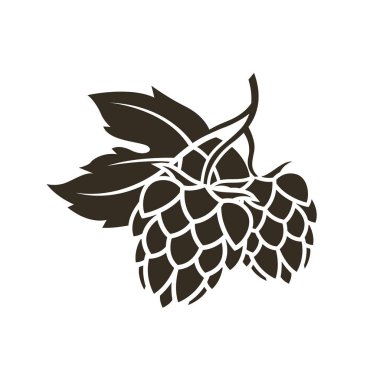 Beyaz arkaplanda izole edilmiş bira yapımı için hop çizimi