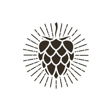 Beyaz arkaplanda izole edilmiş bira yapımı için hop çizimi