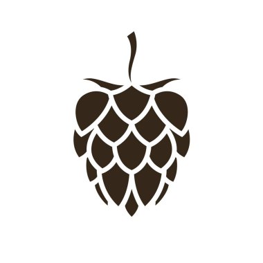 Beyaz arkaplanda izole edilmiş bira yapımı için hop çizimi