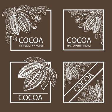 Arkaplanda kakao çekirdeği ve yapraklı etiketler koleksiyonu