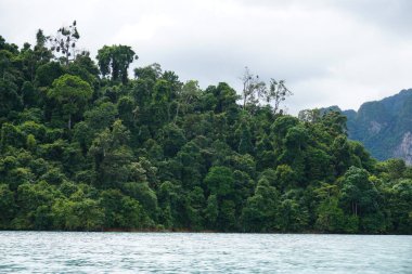 yeşil manzara, Tayland phuket