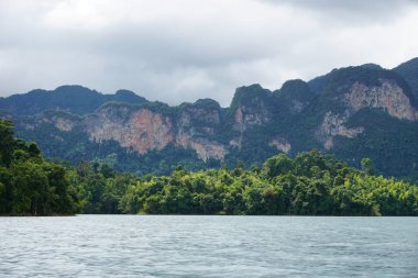 yeşil manzara, Tayland phuket