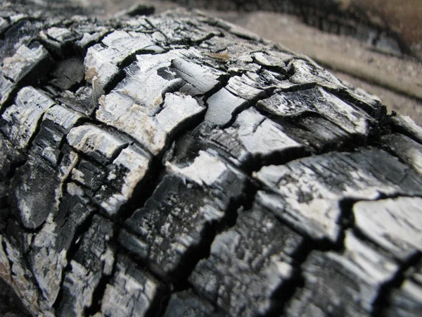 Charred Wood Burned Log — Stock Photo, Image