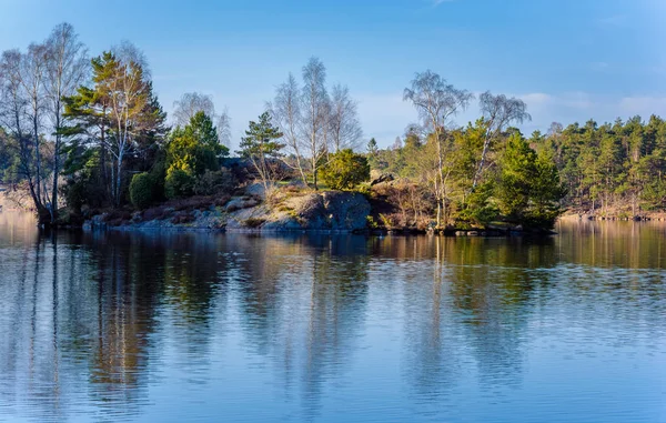 Malý Ostrov Uprostřed Jezera Delsjon Göteborgu Švédsku Začátku Jara — Stock fotografie