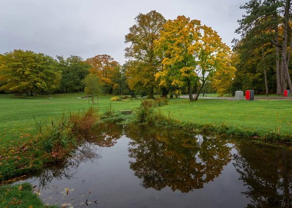 Yansıma bir ağacın dolu sonbahar renkleri slottskogen Parkı Gothenburg, İsveç