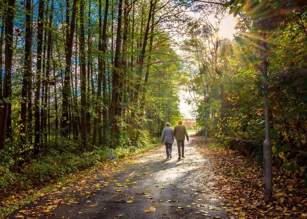 Old couple walking hand in hand through canopy of trees in gothenburg sweden with sun peeping through leaves