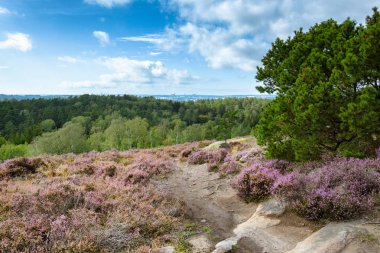 Yeşil kano ile dağın tepesinde fundalık ortasında Trekking parça