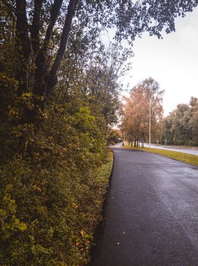 İsveç 'in Göteborg kentinde sonbahar yürüyüşü parktan geçiyor.