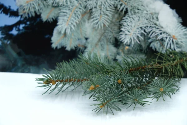 Natal Ano Novo Ramo Uma Árvore Uma Superfície Branca Com — Fotografia de Stock