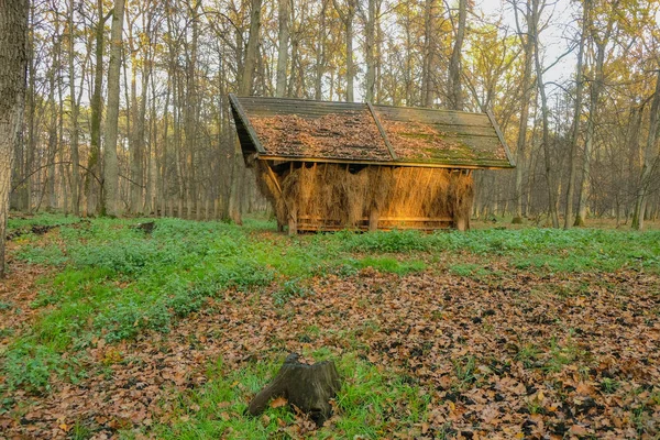 Feeder Voor Wilde Dieren Het Bos Bosarbeiders Zorg Voor Herten — Stockfoto